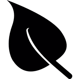 expérience